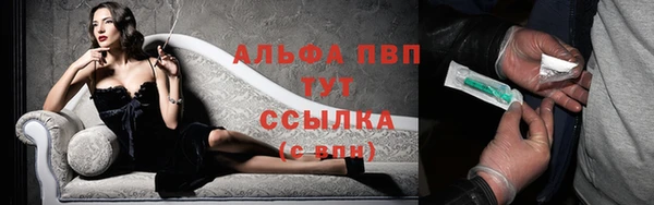 гашик Абаза
