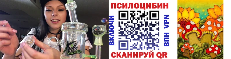 blacksprut зеркало  Туапсе  Галлюциногенные грибы прущие грибы 