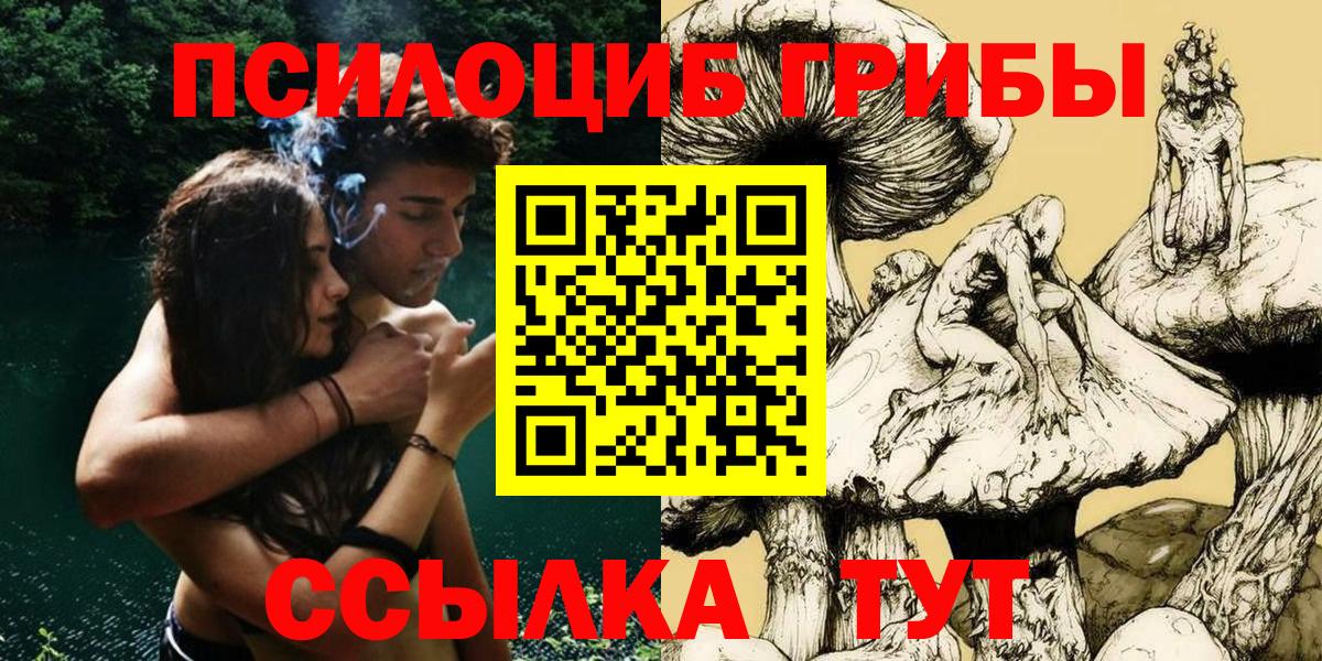 Туапсе  Галлюциногенные грибы прущие грибы  Вход с VPN 